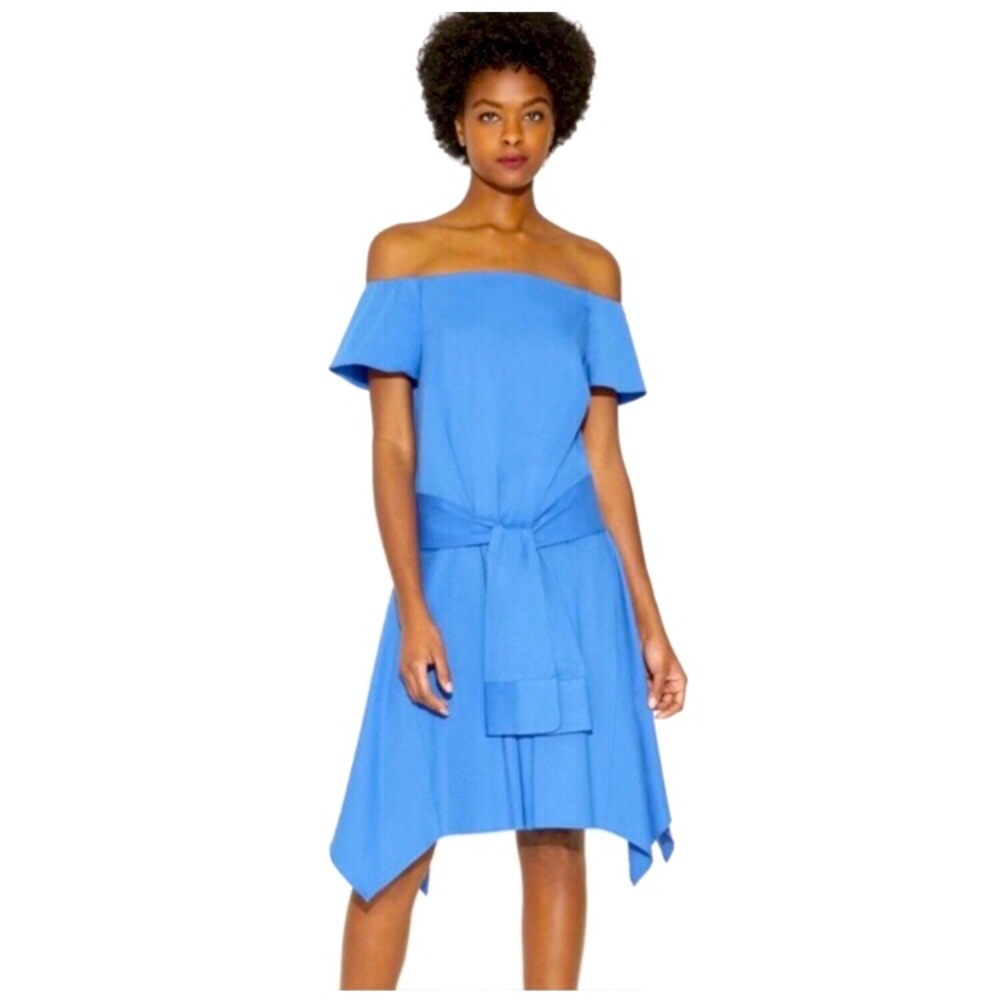 Halston Poplin dress 💎! Gorgeous color